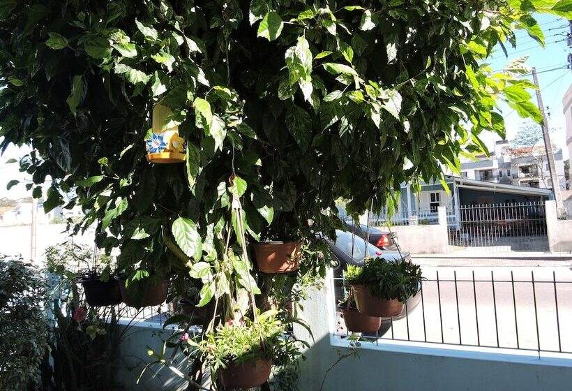 Fotos del hotel Dom Fish:  18