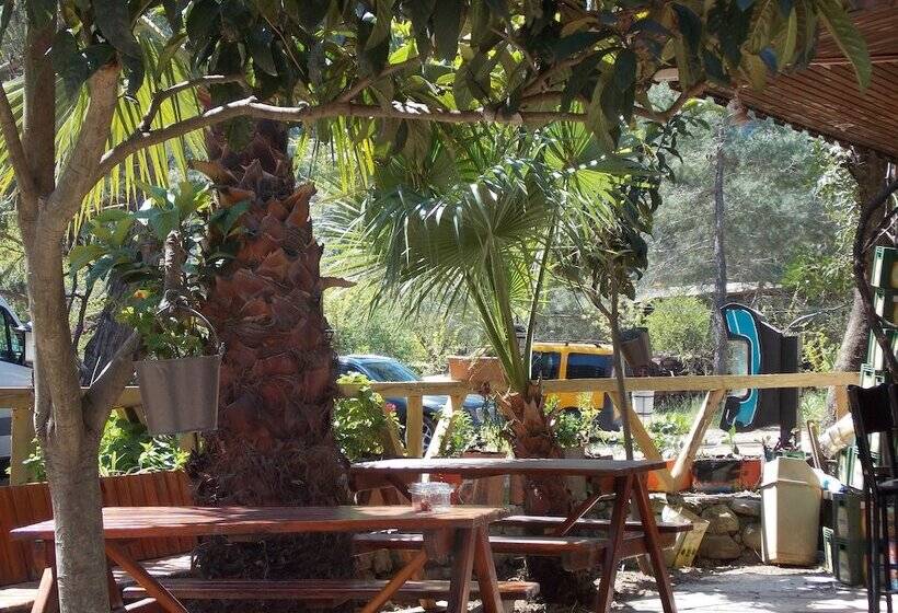 Fotos del hotel Olympos Orange:  8