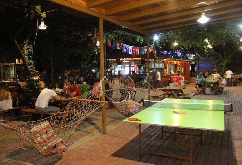 Fotos del hotel Olympos Orange:  2