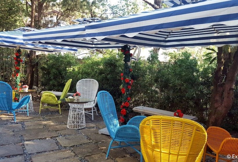 Fotos del hotel Kamiseta:  8