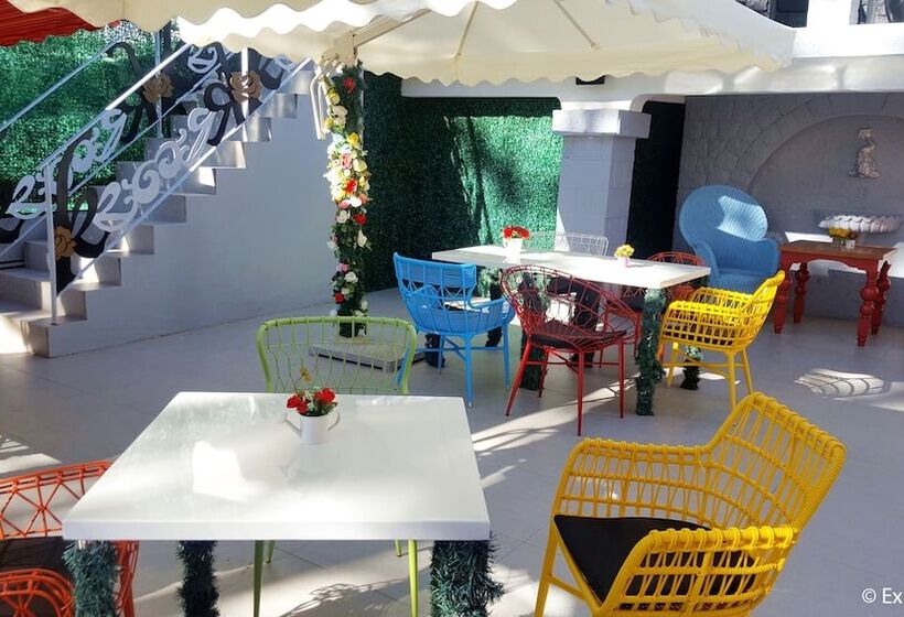 Fotos del hotel Kamiseta:  10