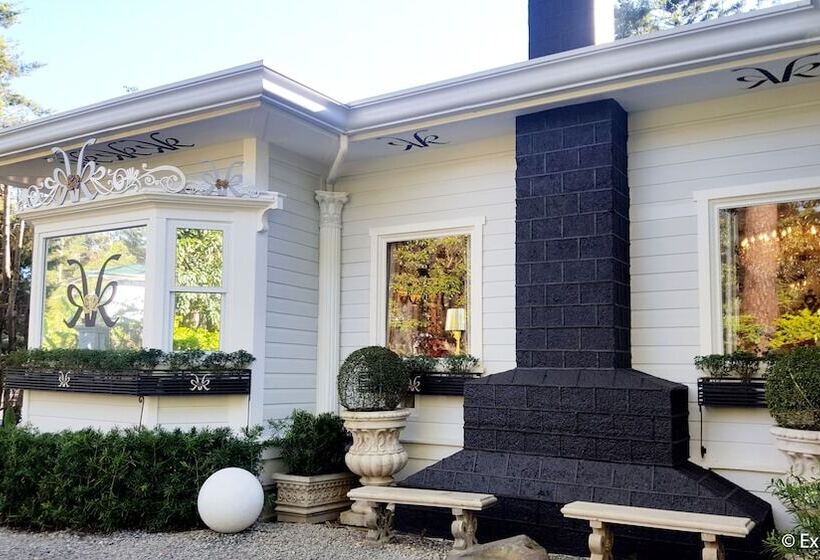 Fotos del hotel Kamiseta:  11