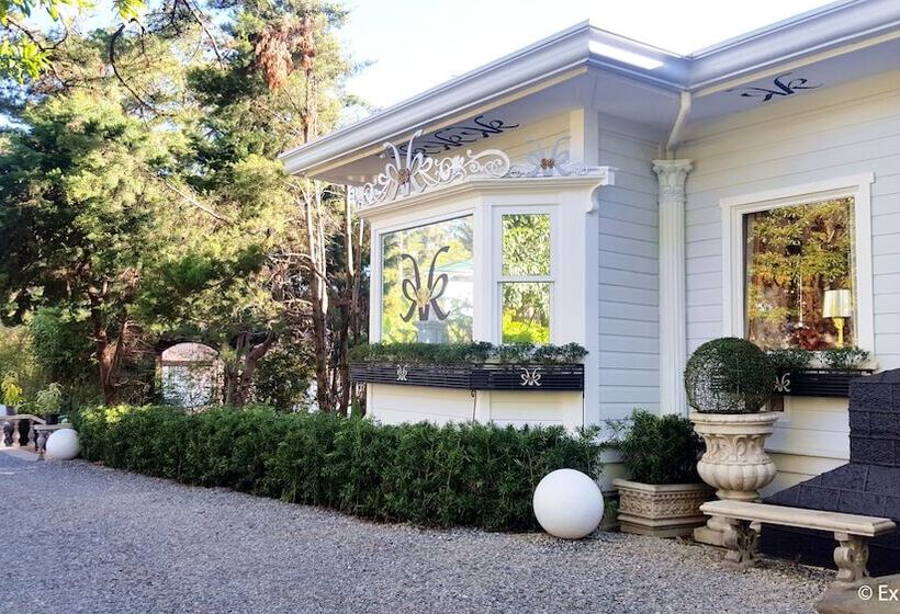 Fotos del hotel Kamiseta:  5