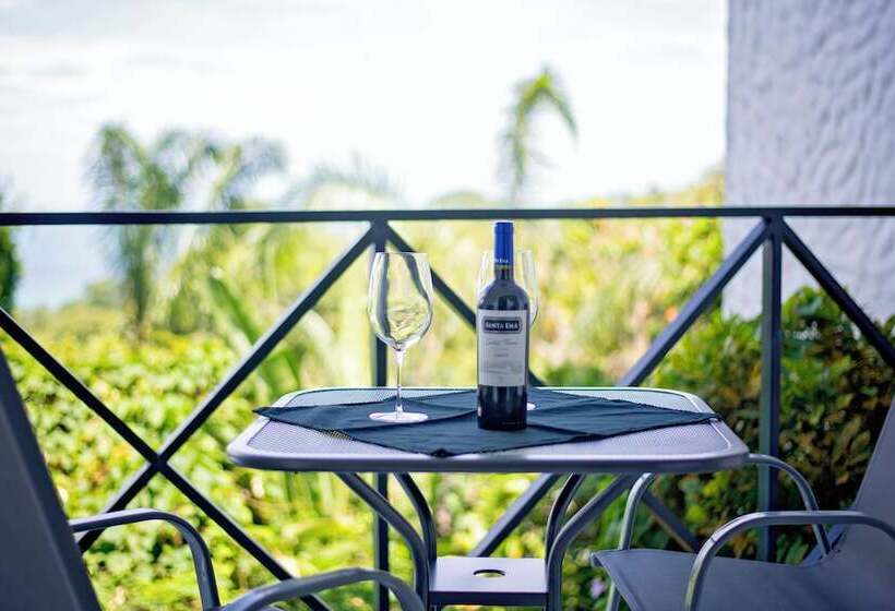 Fotos del hotel Gay Villa Roca:  3