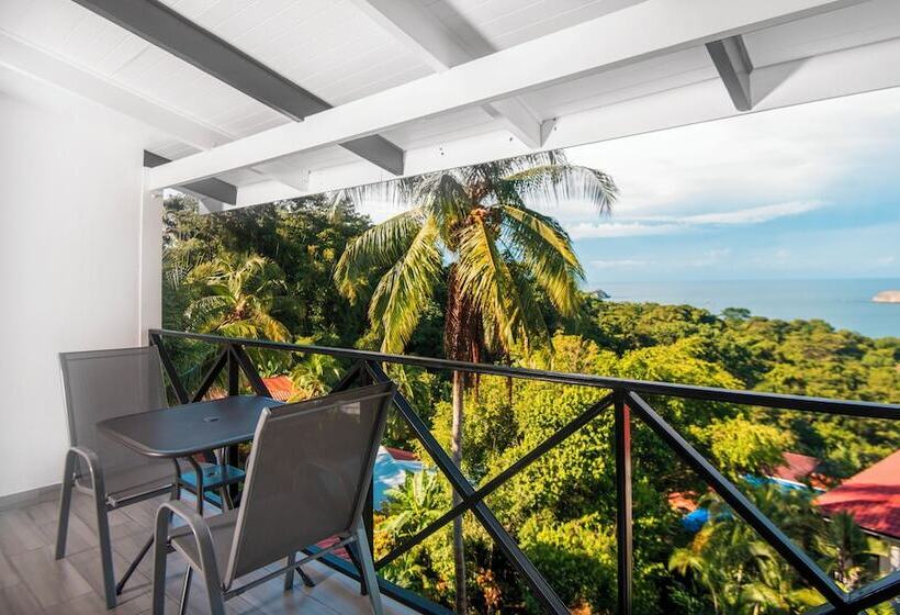 Fotos del hotel Gay Villa Roca:  11