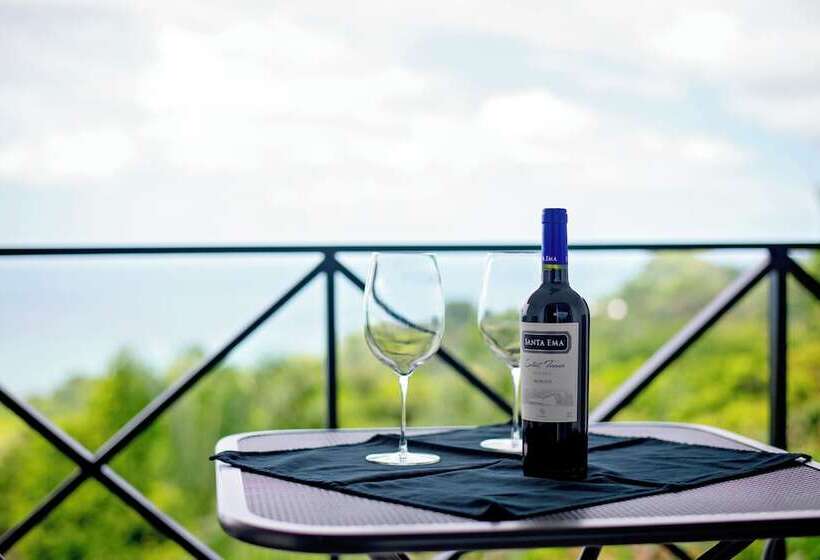 Fotos del hotel Gay Villa Roca:  7