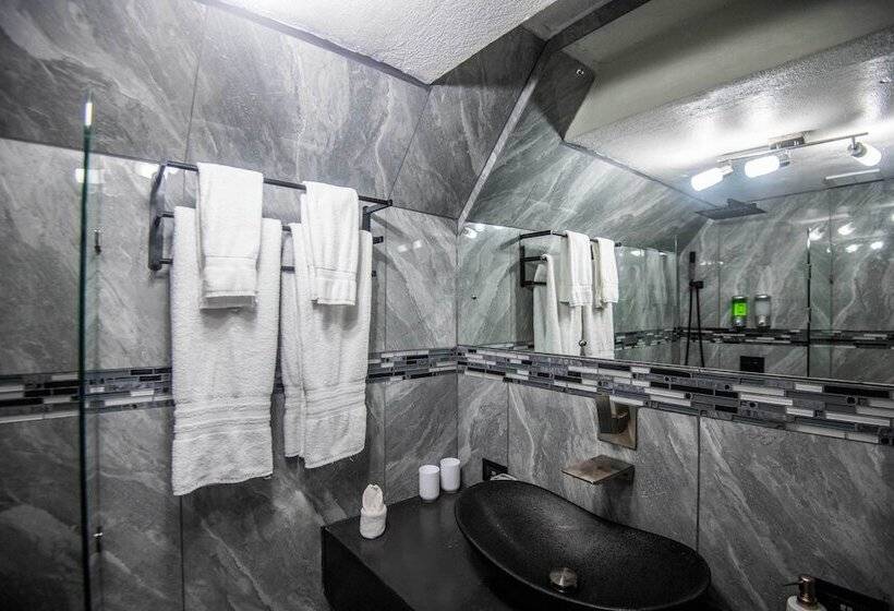 Fotos del hotel Gay Villa Roca:  23