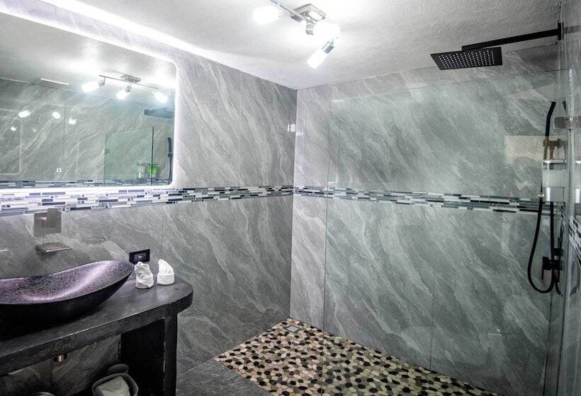 Fotos del hotel Gay Villa Roca:  25