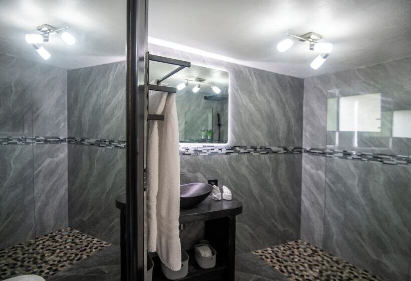 Fotos del hotel Gay Villa Roca:  17