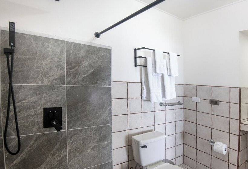 Fotos del hotel Gay Villa Roca:  12