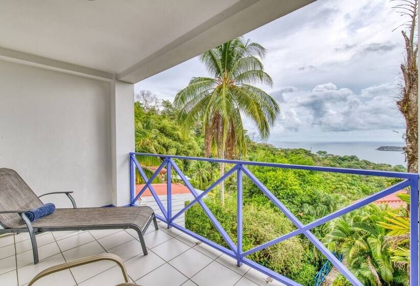 Fotos del hotel Gay Villa Roca:  13