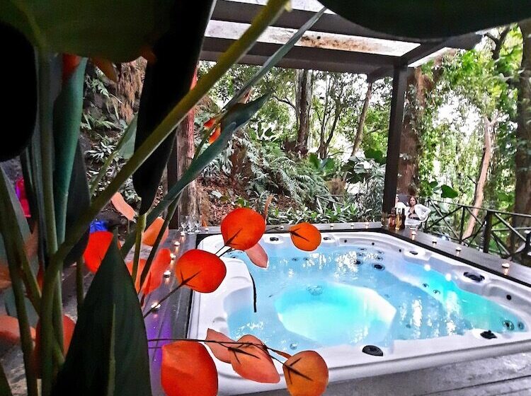 Fotos del hotel Gay Villa Roca:  6