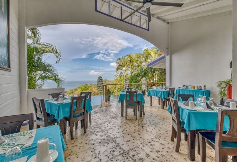 Fotos del hotel Gay Villa Roca:  14