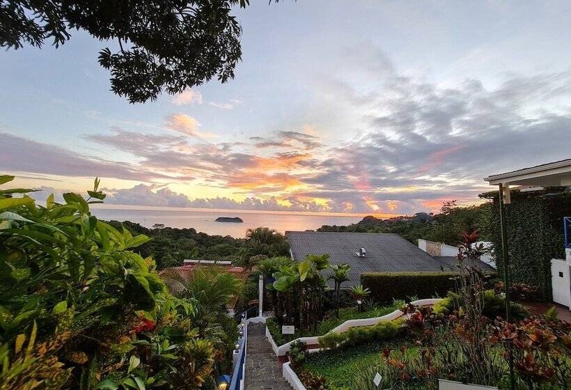 Fotos del hotel Gay Villa Roca:  9