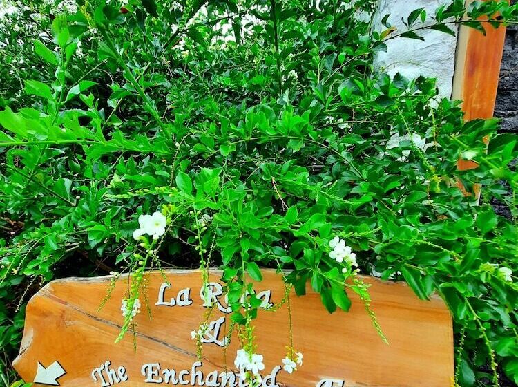 Fotos del hotel Gay Villa Roca:  24