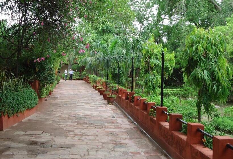 Fotos del hotel Sheela:  7