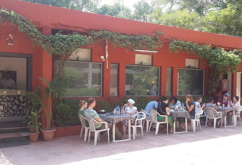 Fotos del hotel Sheela:  4