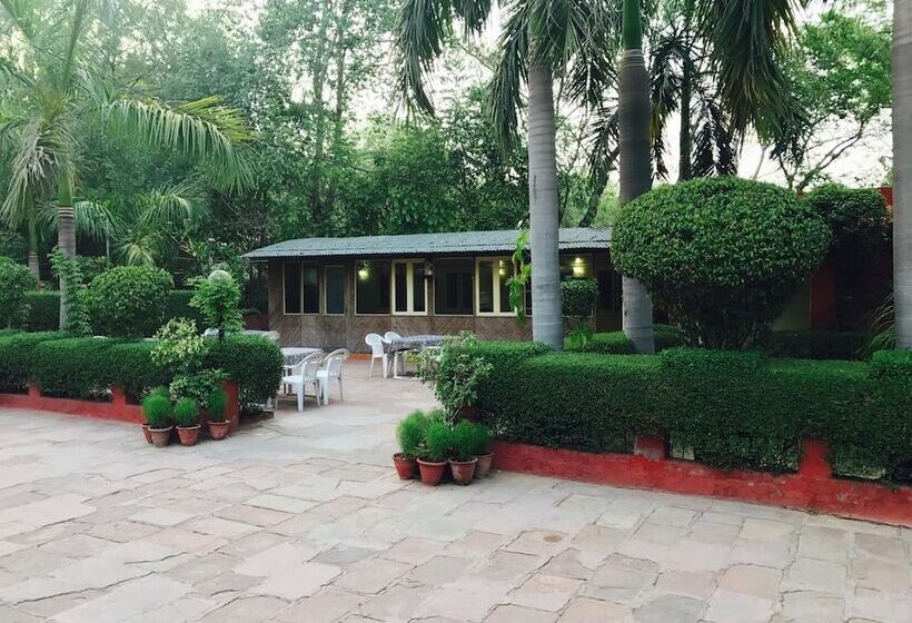 Fotos del hotel Sheela:  17