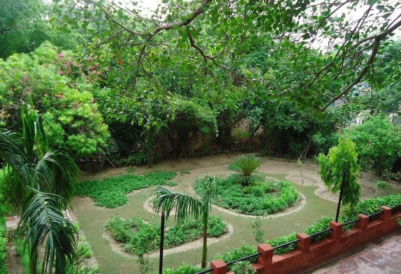 Fotos del hotel Sheela:  9