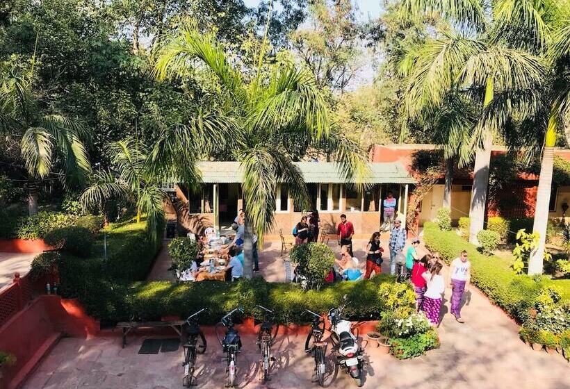 Fotos del hotel Sheela:  6