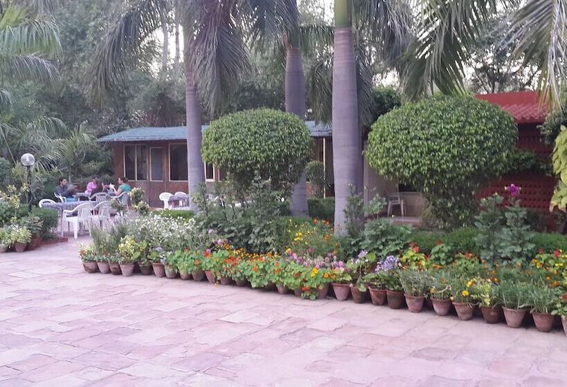 Fotos del hotel Sheela:  11