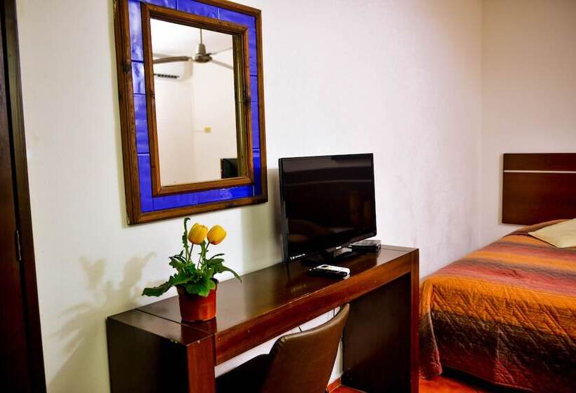 Fotos del hotel Los Girasoles:  7