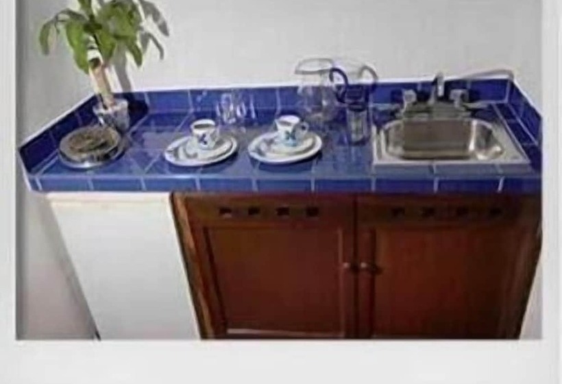 Fotos del hotel Los Girasoles:  4