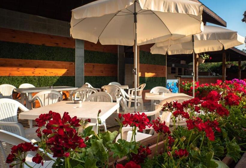 Fotos del hotel Villa Aurora:  5