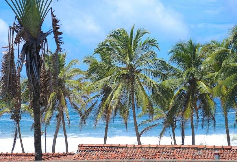 Fotos del hotel Aurora  & Restaurant:  18