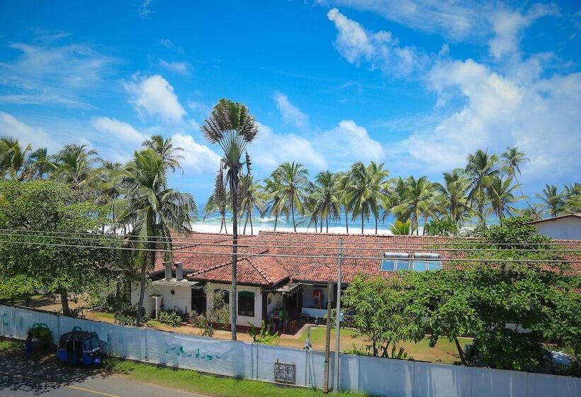 Fotos del hotel Aurora  & Restaurant:  20