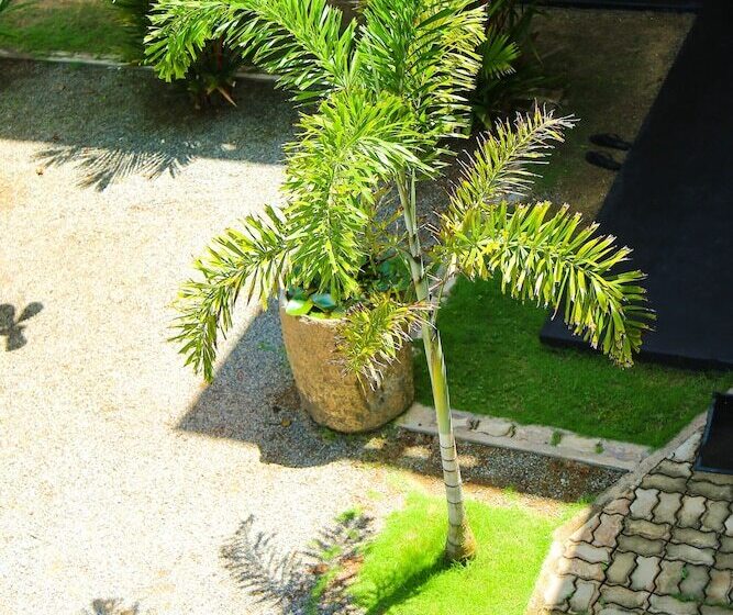 Fotos del hotel Aurora  & Restaurant:  12