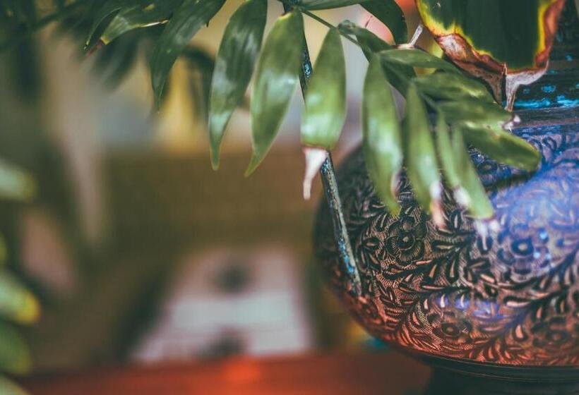 Fotos del hotel Vilu Rest:  3