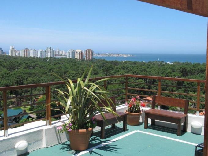 Fotos del hotel Club Sol Del Este Ii:  9