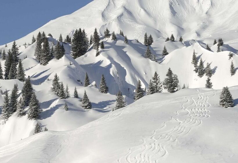 Fotos del hotel Anemone:  5