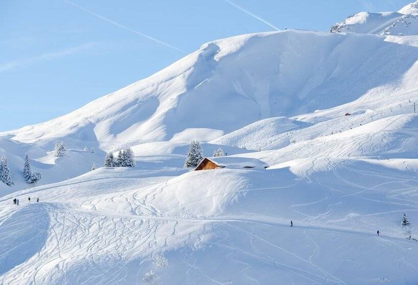 Fotos del hotel Anemone:  7