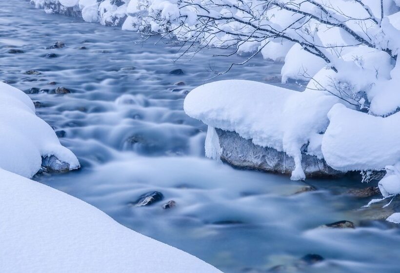 Fotos del hotel Anemone:  11