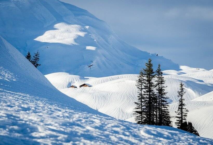 Fotos del hotel Anemone:  9