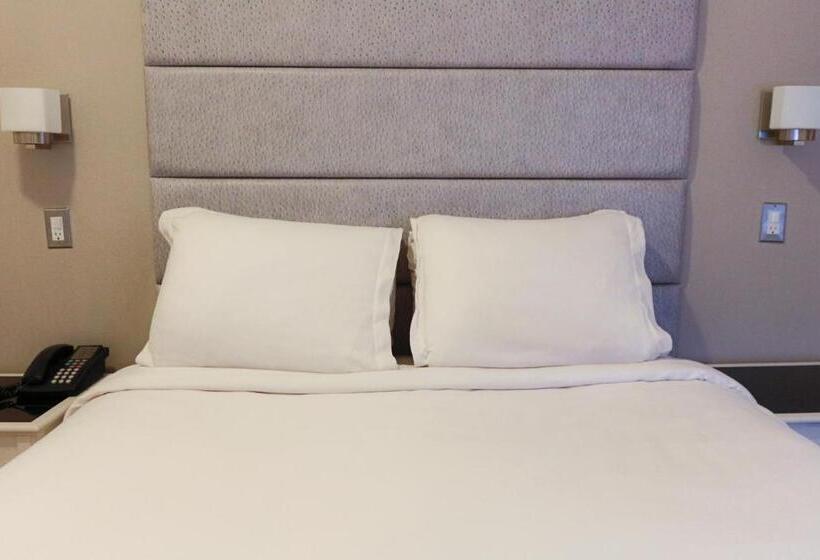 Fotos del hotel Da Vinci:  25