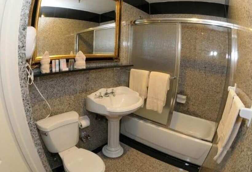 Fotos del hotel Da Vinci:  5