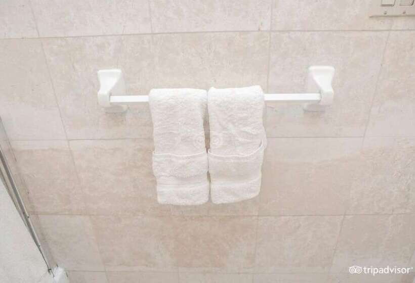 Fotos del hotel Da Vinci:  16