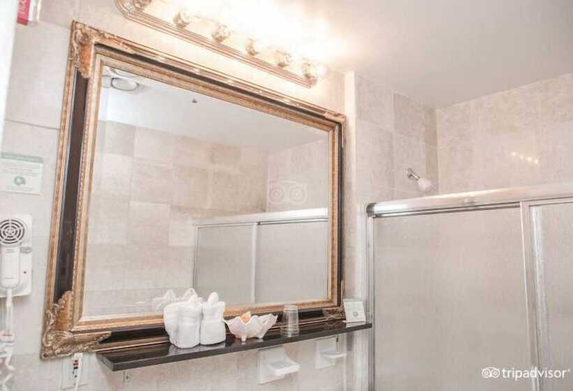 Fotos del hotel Da Vinci:  11