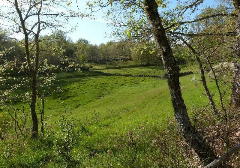 Fotos del hotel La Coral De Sanabria:  4