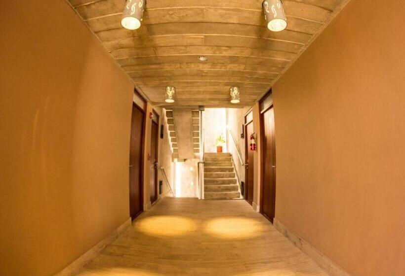 Fotos del hotel Dream Inn Pr:  3