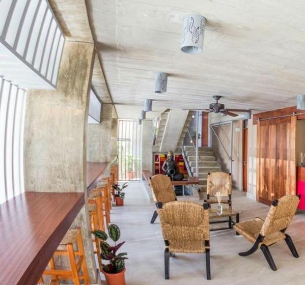 Fotos del hotel Dream Inn Pr:  6