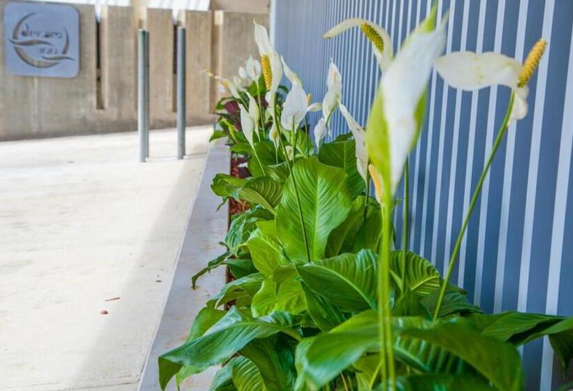 Fotos del hotel Dream Inn Pr:  18