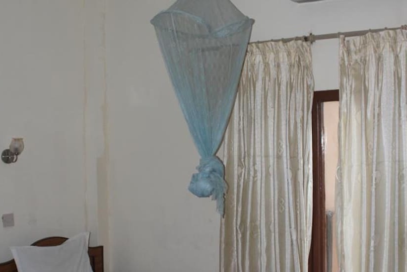 Fotos del hotel Jungle Vista:  11