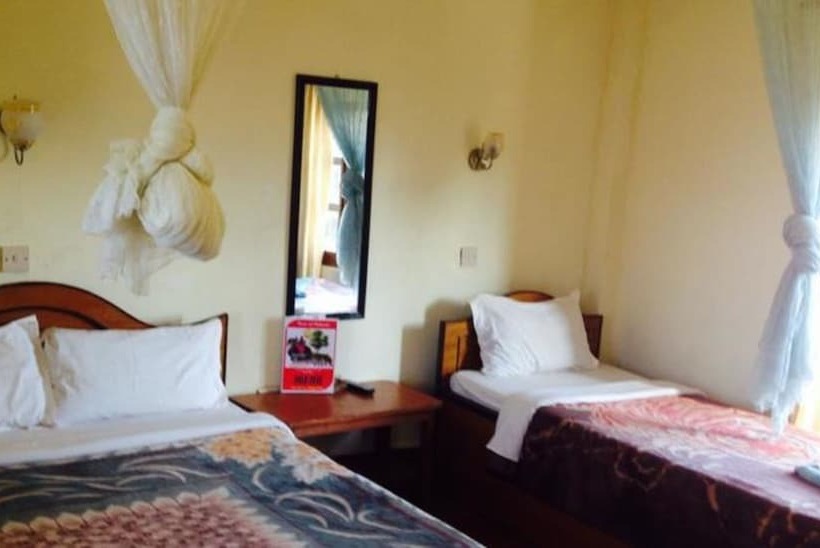 Fotos del hotel Jungle Vista:  12