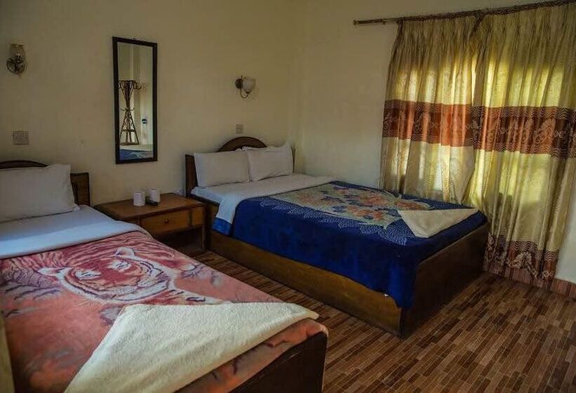 Fotos del hotel Jungle Vista:  13