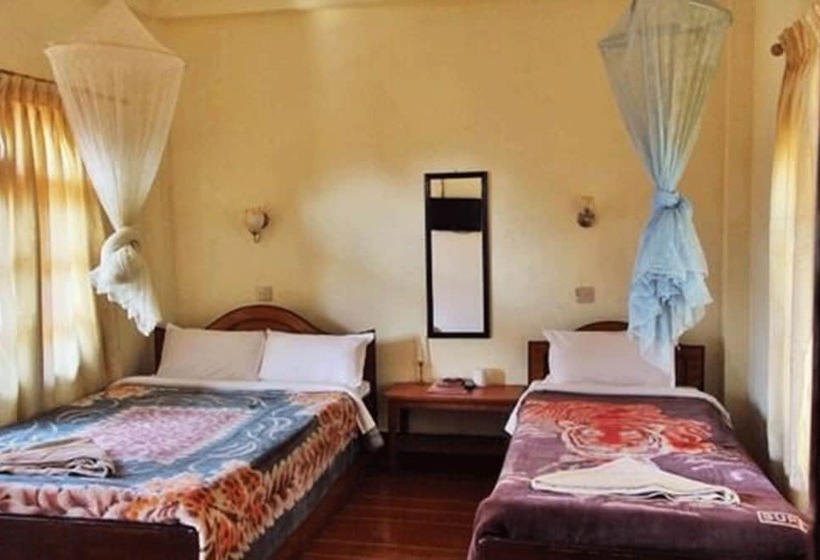 Fotos del hotel Jungle Vista:  14