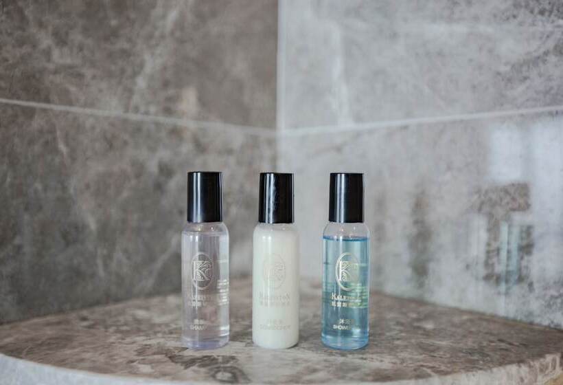 Fotos del hotel Kaleiston Hotel Shenzhen:  5